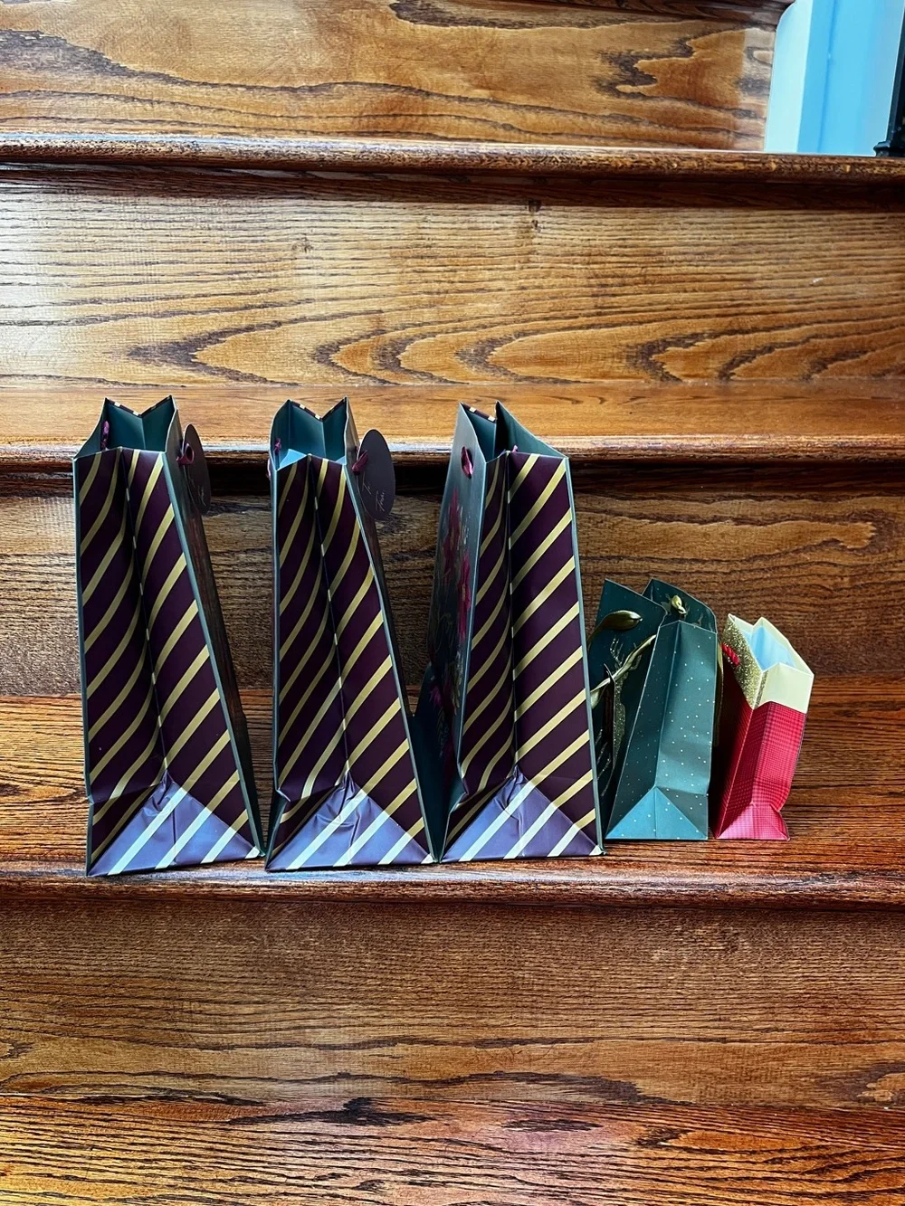 Design Focus Holiday Christmas Gift Bags